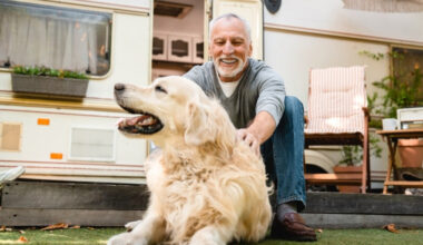 maintaining senior pets mobility through thoughtful daily practices