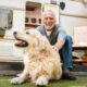 maintaining senior pets mobility through thoughtful daily practices