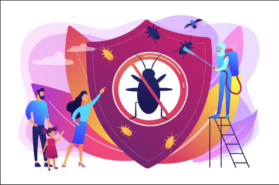 5 effective bed bug treatments you can try 4