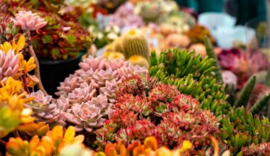5 reasons online flower ordering is more valuable than you expect