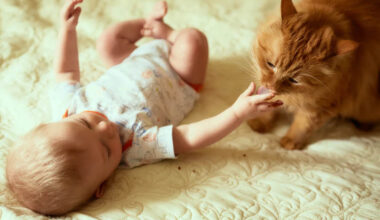 baby and kitten