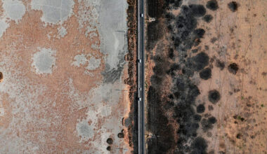 common signs of mold in your home and what they mean