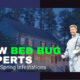 how bed bug experts handle spring infestations