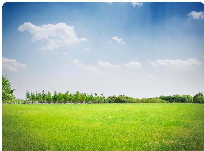 how land clearing prepares your property for development in ocala 4