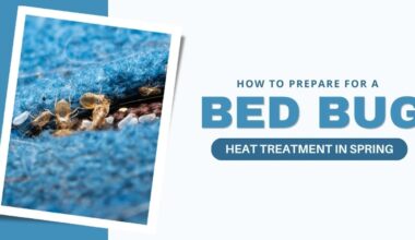 how to prepare for a bed bug heat treatment in spring
