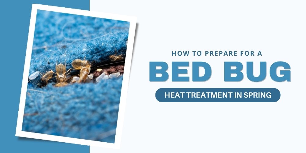 how to prepare for a bed bug heat treatment in spring