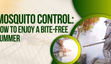 mosquito control how to enjoy a bite free summer