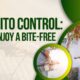 mosquito control how to enjoy a bite free summer