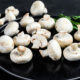 why is it important to integrate picking lorries with shelving systems in mushroom farms