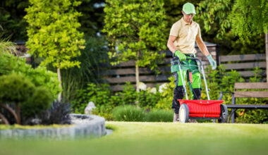 5 lawn habits doing more damage than the drought
