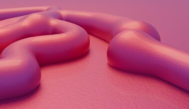 a holistic approach to long term colon health