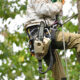 best practices for working with tree services