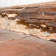 how small moisture problems around a home quietly turn into a termite entry point