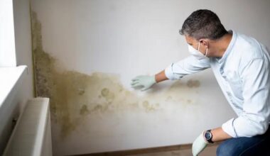 prevention and remediation tips for managing a moldy basement