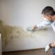 prevention and remediation tips for managing a moldy basement