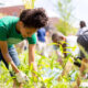 when a growing space becomes a smart investment