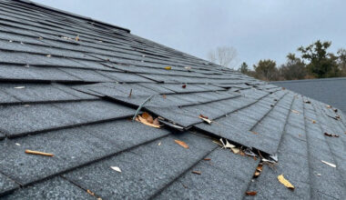 why roof damage should be checked before it spreads to the ceiling