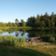 5 simple fixes for crystal clear pond water