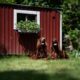 creative ways to make a garden shed blend into your landscape
