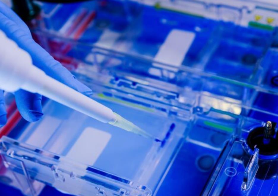 how elisa kits help improve data accuracy across scientific research projects 3