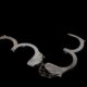 how white collar crimes differ from traditional criminal offenses