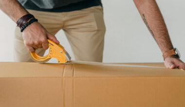 how to choose between express and economy shipping to the usa