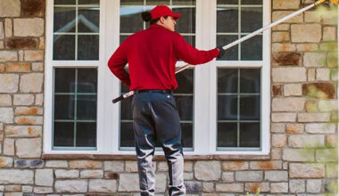 essential pest prevention tips for homeowners in white plains, md