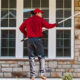 essential pest prevention tips for homeowners in white plains, md
