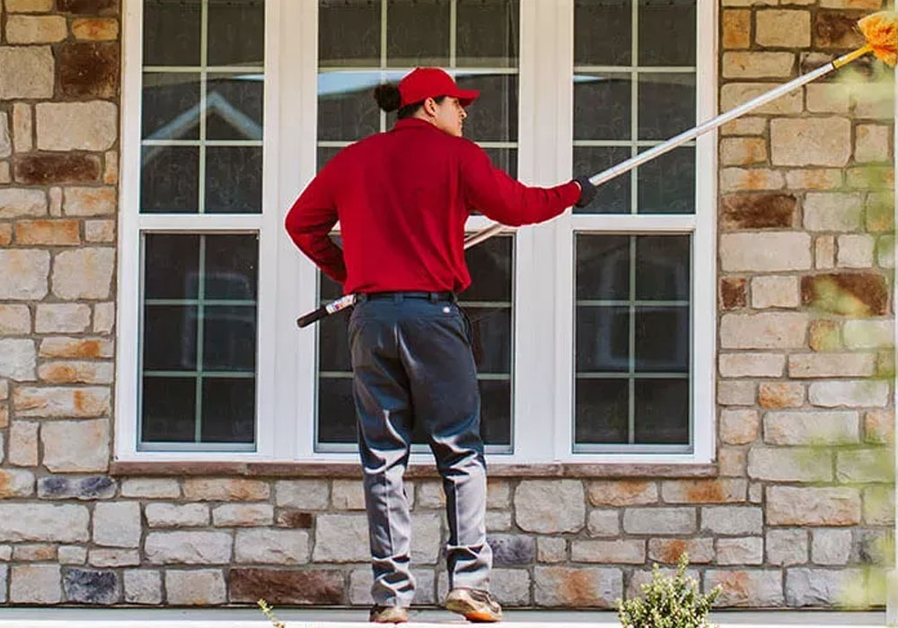 essential pest prevention tips for homeowners in white plains, md