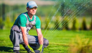 essential tips for maintaining a lush and healthy lawn year round