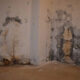 how basement moisture can quietly damage your home over time