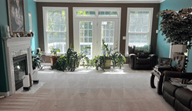 how to find affordable carpet cleaning in raleigh