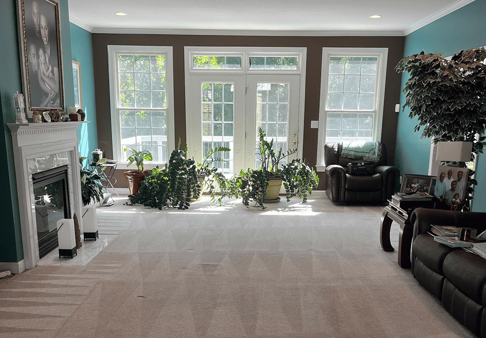 how to find affordable carpet cleaning in raleigh
