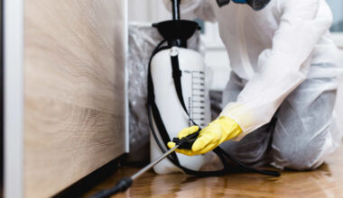 landlord vs tenant who pays for pest control in nsw