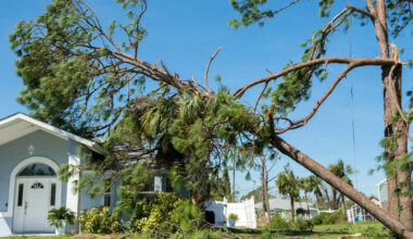 what rural homeowners should check after high winds and heavy rain