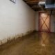 what to do after a sewage backup a safety first homeowners guide