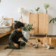 6 simple pet care essentials that make life easier