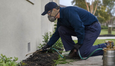 effective pest control services in southern highlands protect your home today