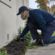 effective pest control services in southern highlands protect your home today
