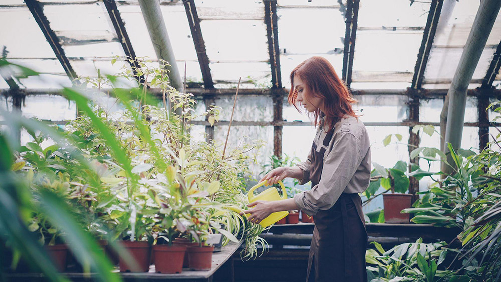 greenhouse gardening 2