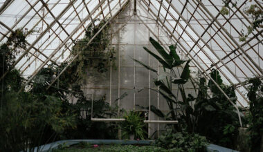 greenhouse gardening