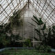 greenhouse gardening