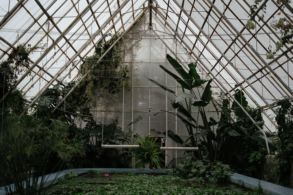 greenhouse gardening