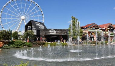 how to plan a fun night out in pigeon forge