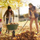 preparing your home for fall and winter pests