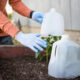 shield your garden smart ways to protect your plants