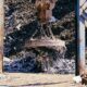 where companies lose money on waste material