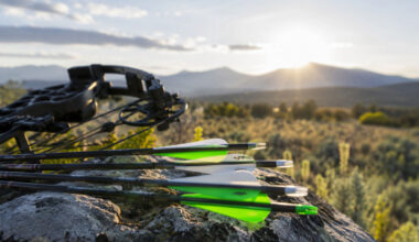 built for the field optimizing your arrow setup