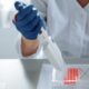 dna damage response inhibitors