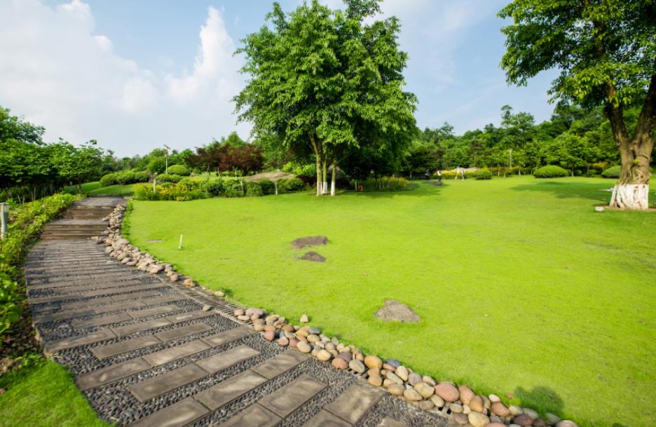 how professional lawn care services in garland boost your homes curb appe